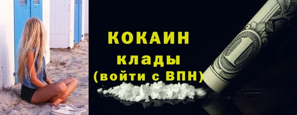 молекула духа Нягань