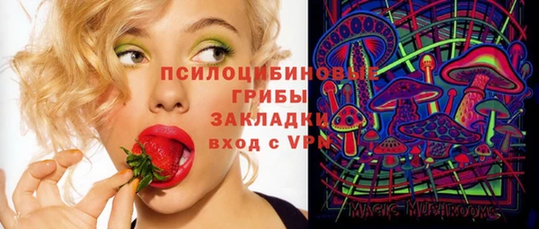 ешки Абинск