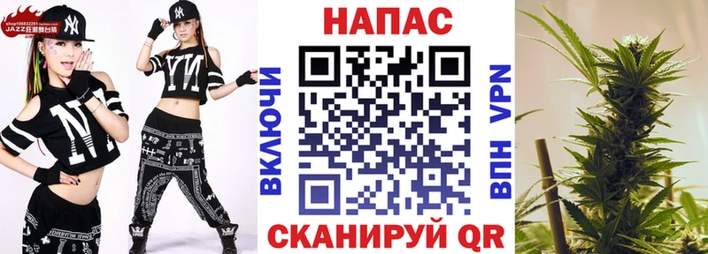 Бошки Шишки планчик  Зубцов 